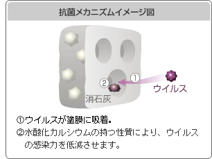 抗菌メカニズムのイメージ図　微細な穴が多数空いている消石灰の塗装面にウイルス・細菌が吸着し、吸着されたウイルスや細菌が水酸化カルシウムの性質によって感染力が低減する。