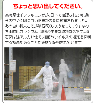 ちょっと思い出してください　高病原性インフルエンザが、日本で確認された時、鶏舎の中や周囲に白い粉末が大量に散布されました。あの白い粉末こそが消石灰（しょうせっかい）すなわち水酸化カルシウム。漆喰の主要な原料なのです。消石灰は強アルカリ性で、細菌やウィルスの増殖を抑制する効果があることが実験で証明されています。