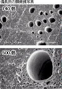 多孔質の表面
